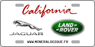 Jaguar Sample Custom Corporate Logo License Plate
